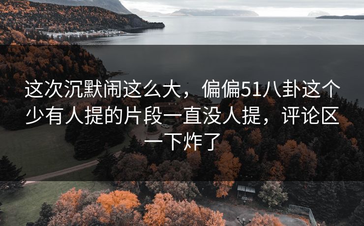 这次沉默闹这么大，偏偏51八卦这个少有人提的片段一直没人提，评论区一下炸了